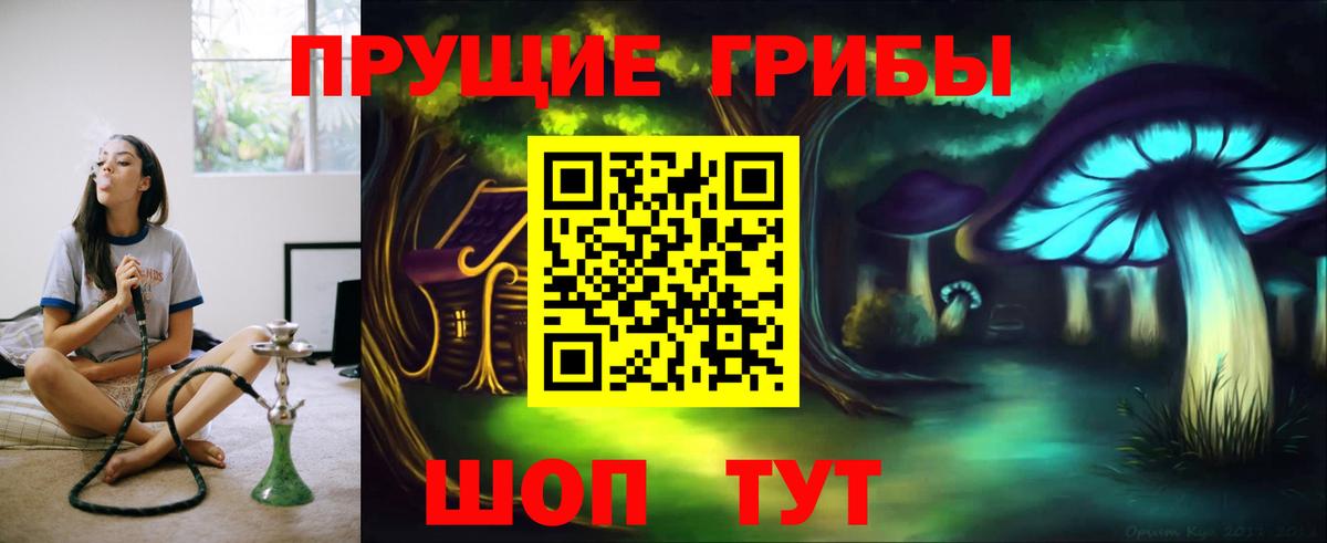 Галлюциногенные грибы GOLDEN TEACHER  Псилоцибиновые грибы мухоморы  Вход с VPN  Похвистнево 